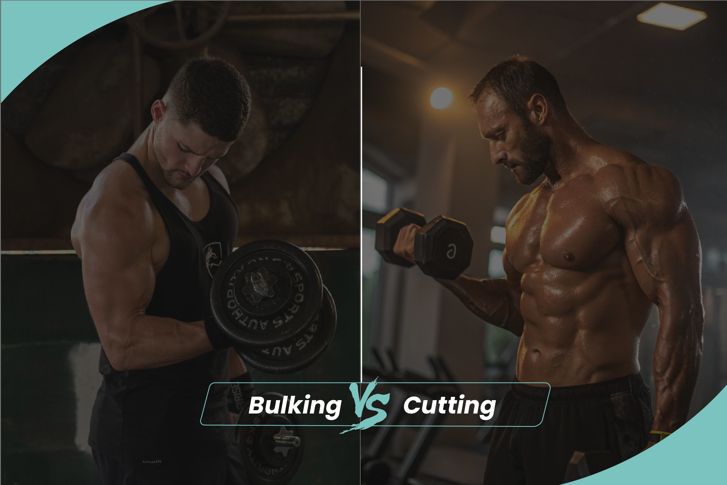 Bulking vs cutting